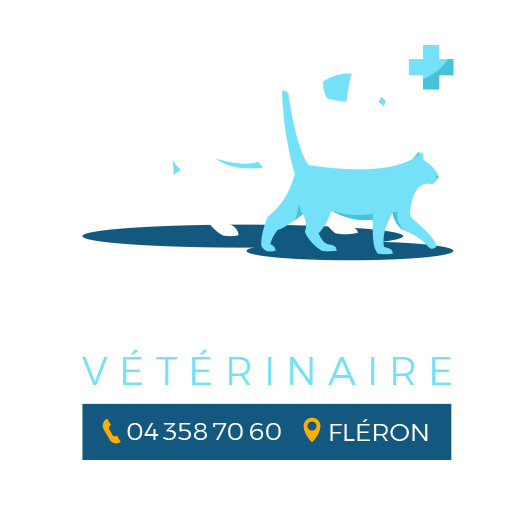 Dr Plumier - Vétérinaire - 04 358 70 60